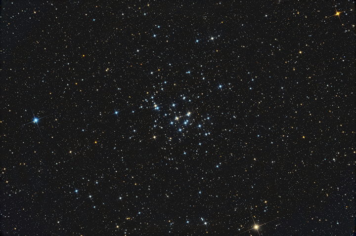 Rosette-Cone Mosaic